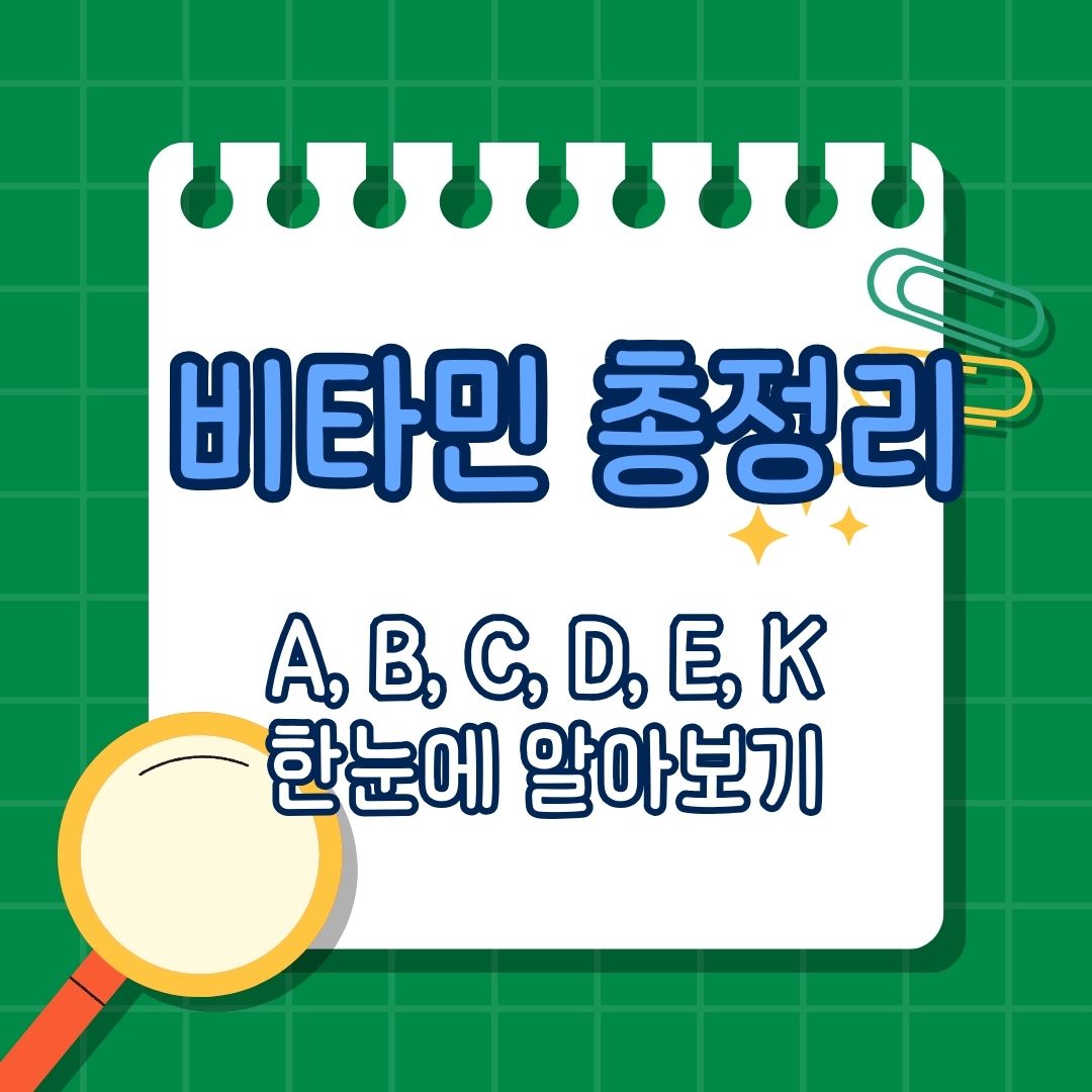 비타민 A, B군, C, D, E, K 각각의 효능, 결핍 증상, 주요 식품, 권장량, 주의 사항 총정리