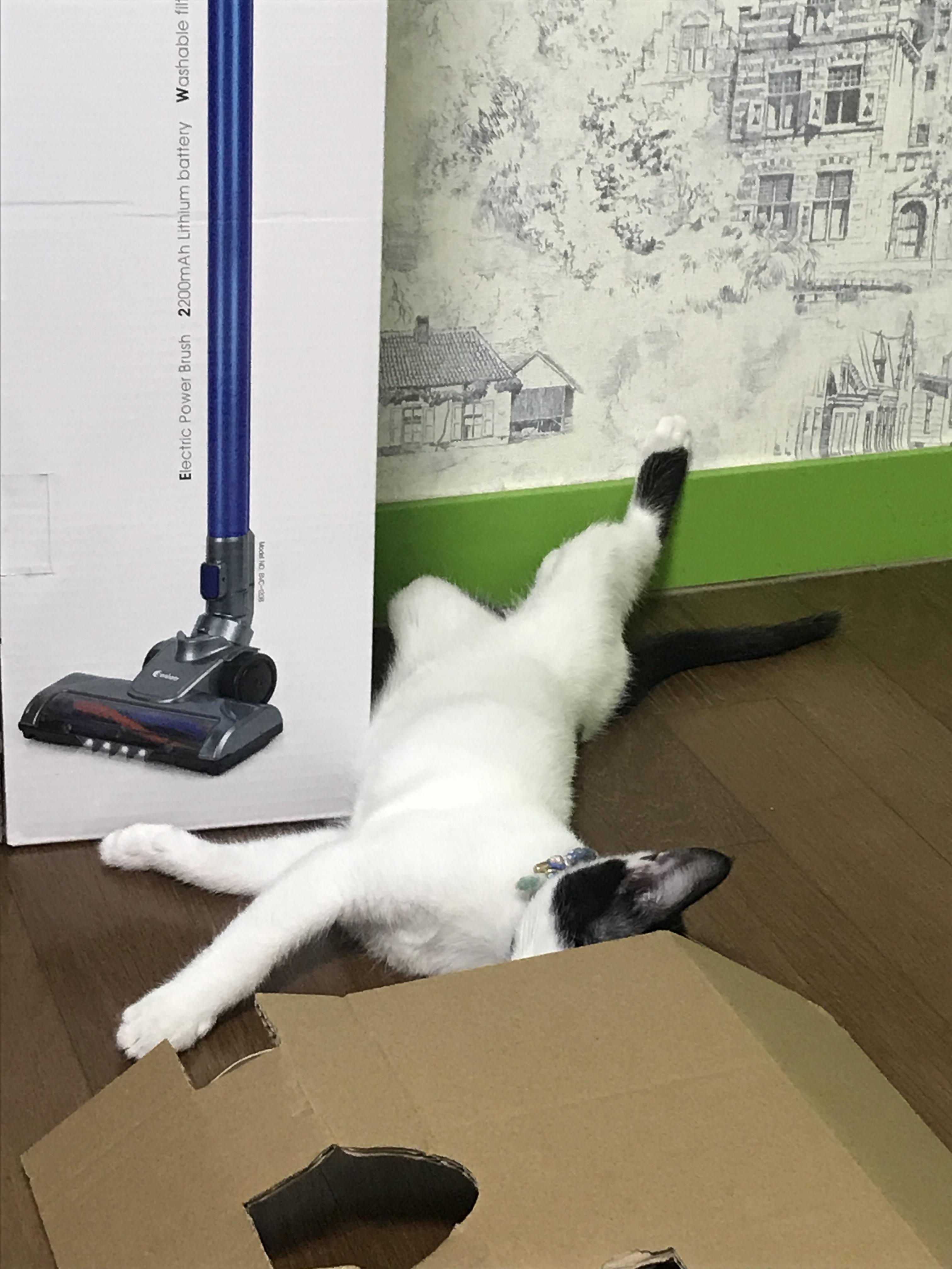 alt 태그