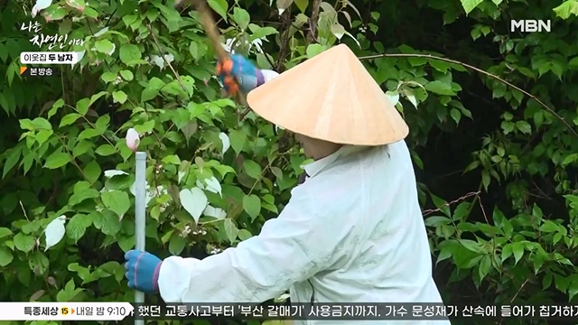 나는 자연인이다.E558.230615p-NEXT.mp4_20230615_200823.264.jpg