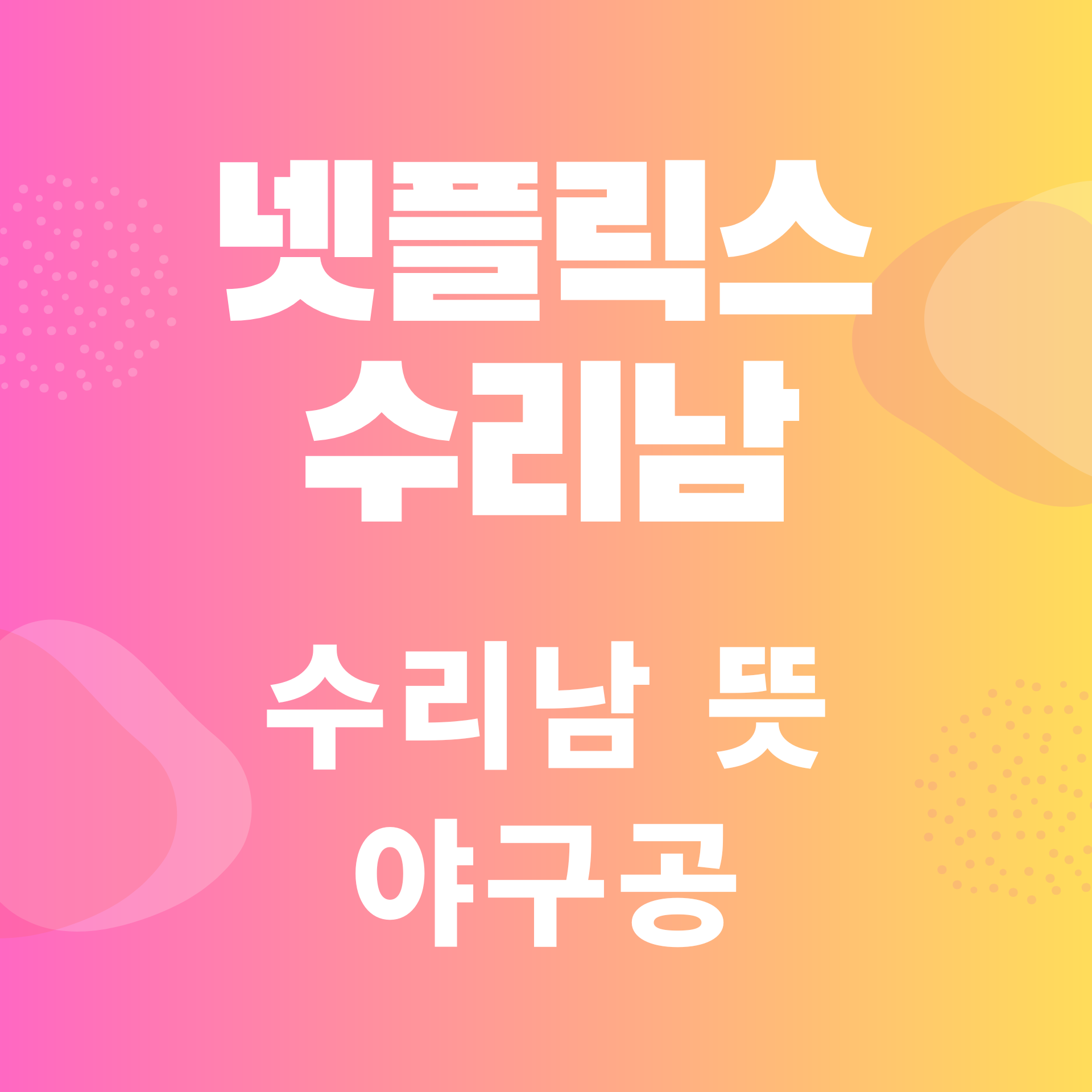  넷플릭스 드라마 <수리남>, 수리남 뜻부터 수리남 실화, 야구공까지!