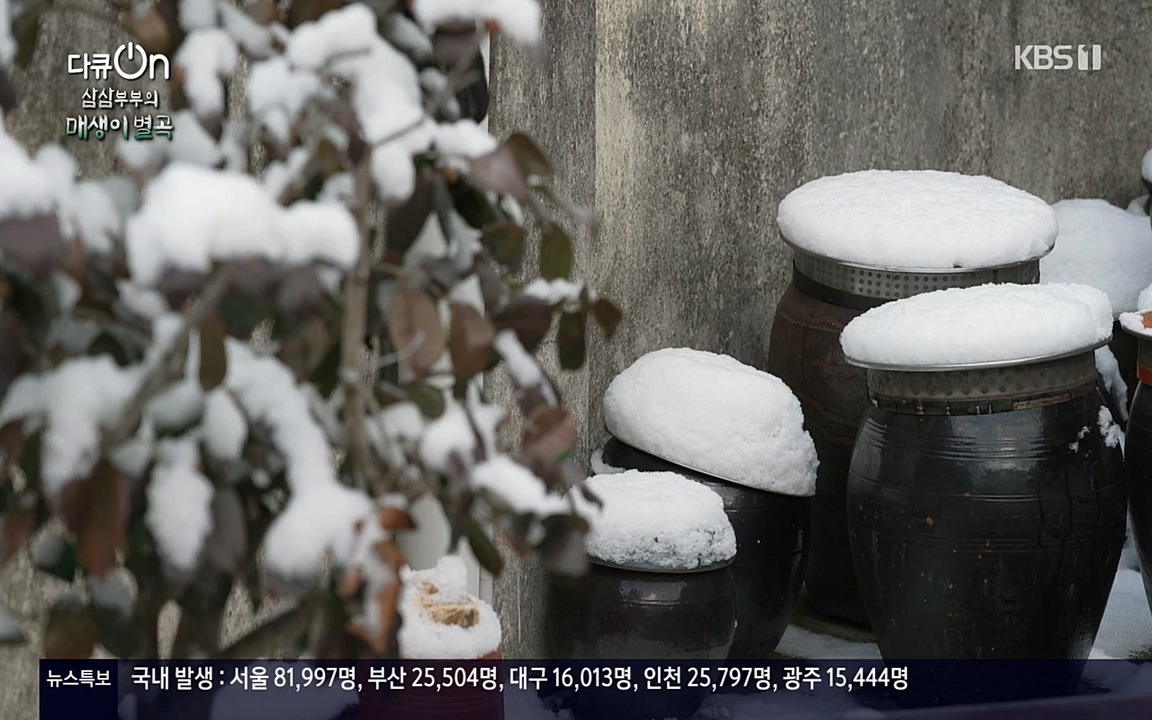 다큐 온.E131p-NEXT.mp4_20220319_174012.089.jpg