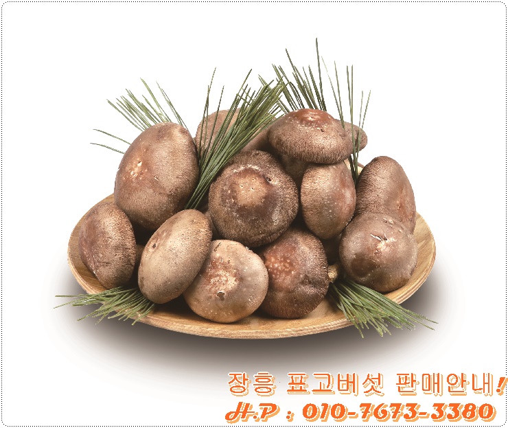장흥표고식품 이미지