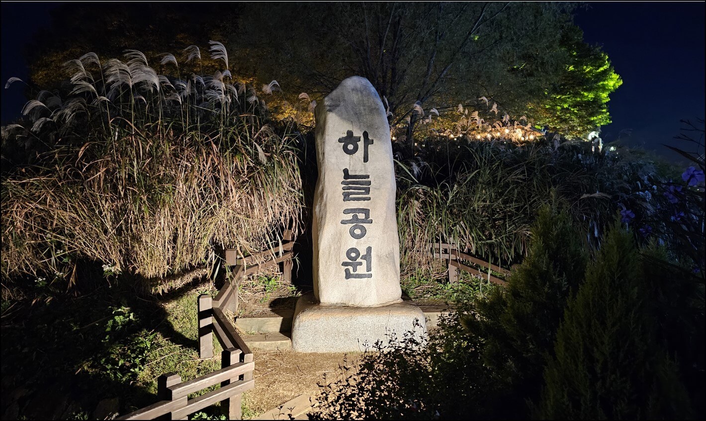  [서울 마포] 2023 하늘공원 억새축제 야간 후기 (하늘공원 설명, 가는 방법, 주차 꿀팁, 편의시설, 맹꽁이 전기차 요금)