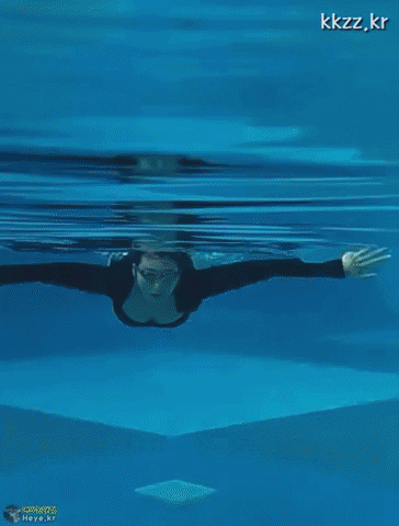 img.gif