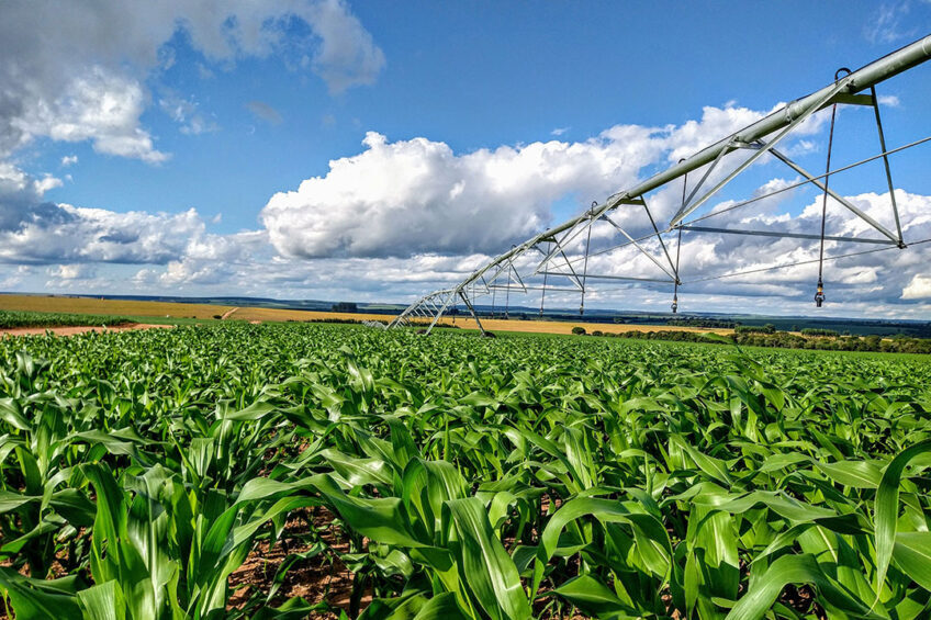  Brazil forecasts 40 million tons extra grains this season