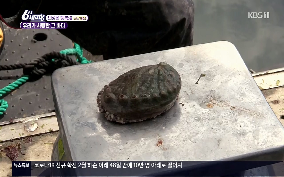 6시 내고향.E7508.220412p.H264-F1RST.mp4_20220417_192530.197.jpg