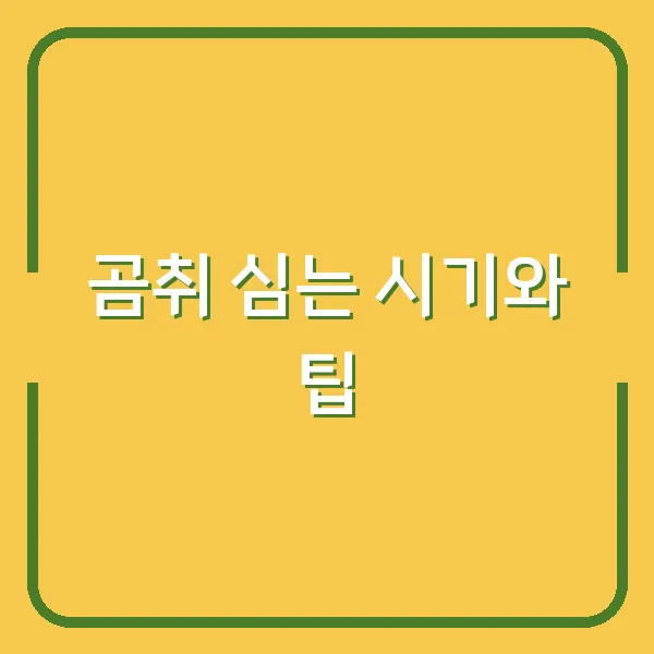 곰취 심는 시기와 팁