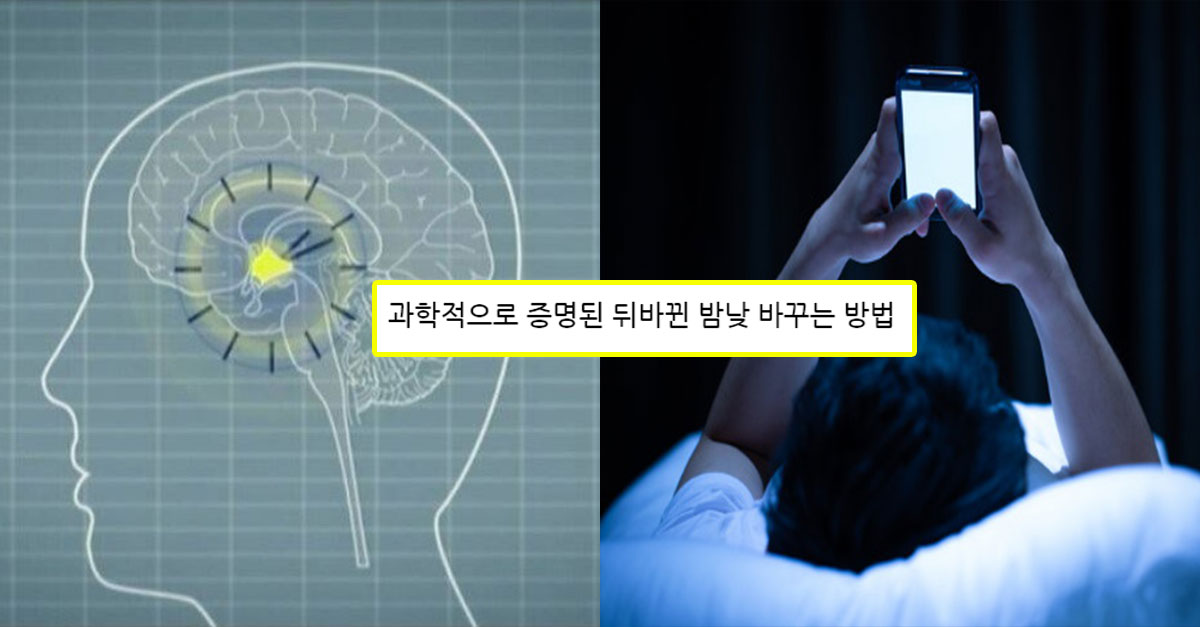  과학적으로 증명이 되버린 밤 낮 바꾸는 방법.jpg