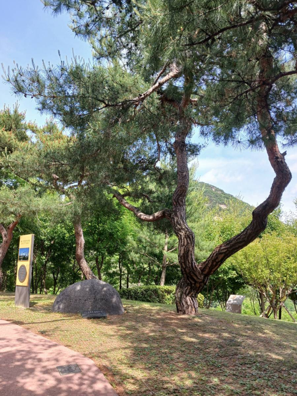 인왕산 윤동주시인의 언덕