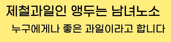  제철과일인 앵두는 남녀노소 누구에게나 좋은 과일이라고 합니다