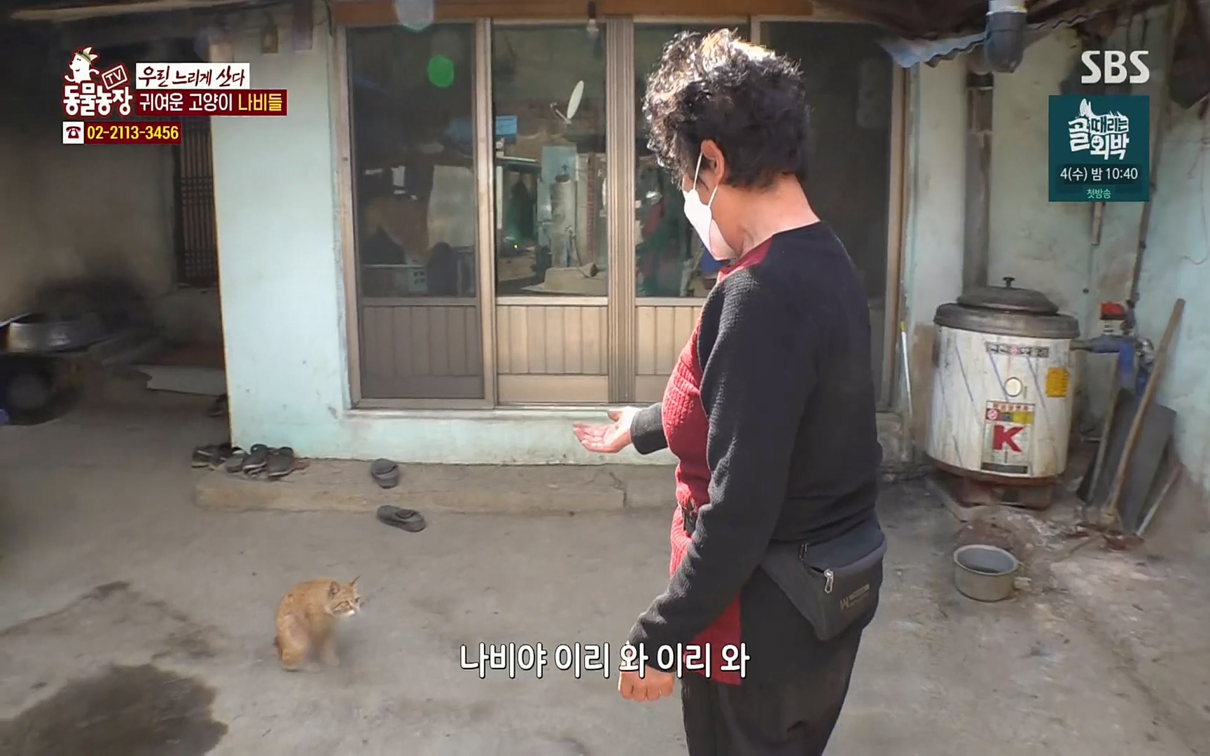 TV 동물농장.E1067.220501p.H264-F1RST.mp4_20220501_183708.553.jpg