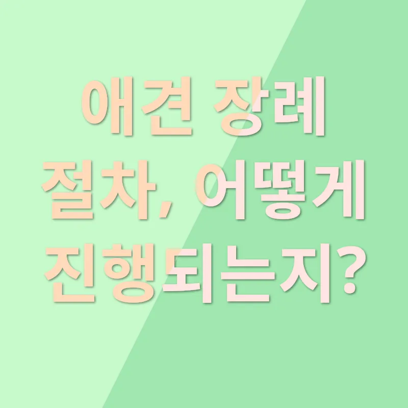 애견장례_1