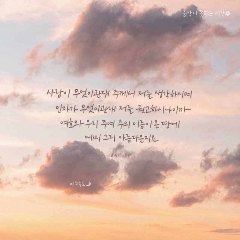 꽃이피는시간 이미지