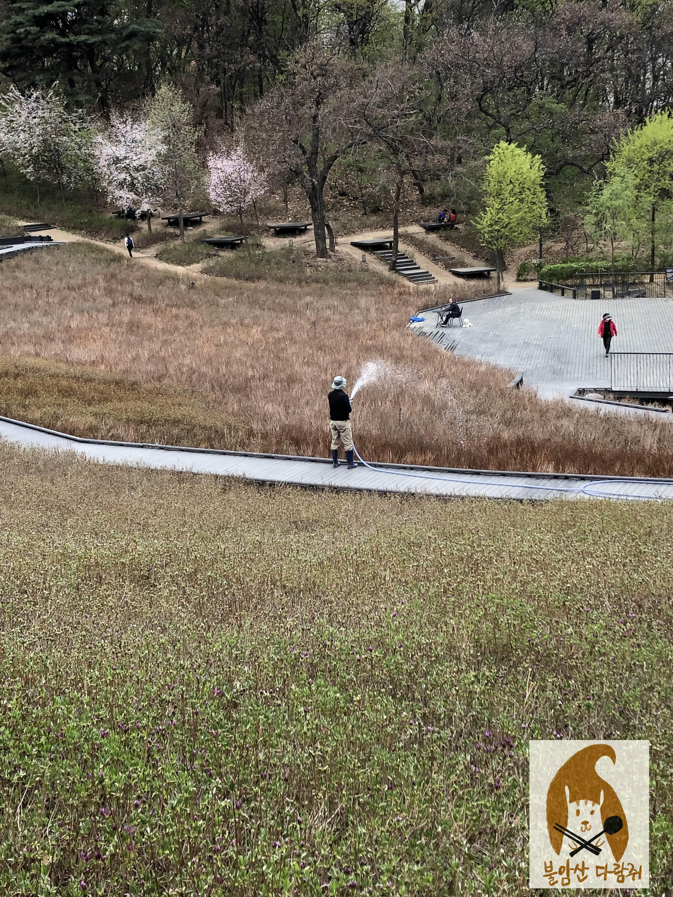 철쭉동산 관리중