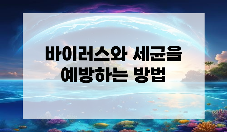 바이러스와 세균을 예방하는 방법