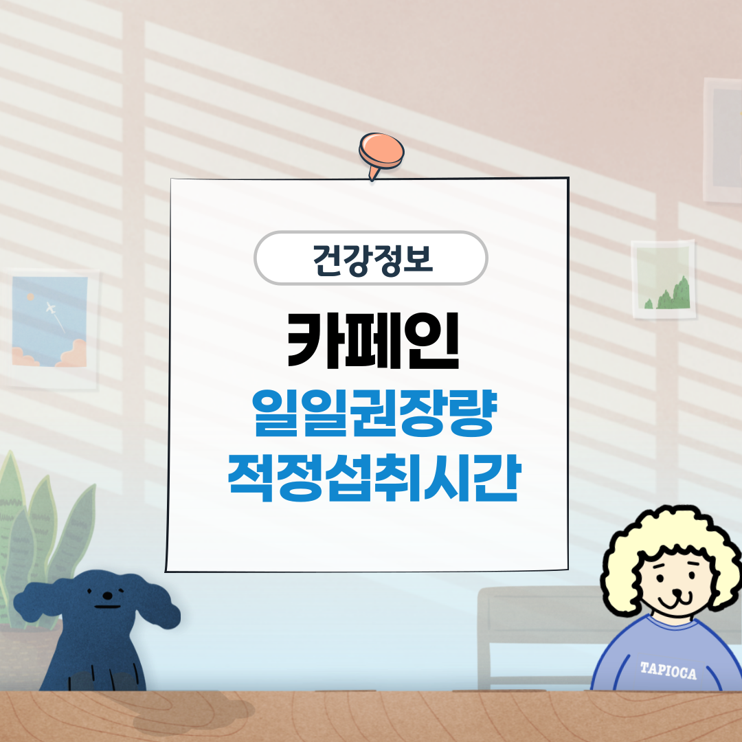 카페인 하루 권장량, 아메리카노 카페인 함량, 카페인 반감기 '오늘 몇 잔까지 괜찮을까?'