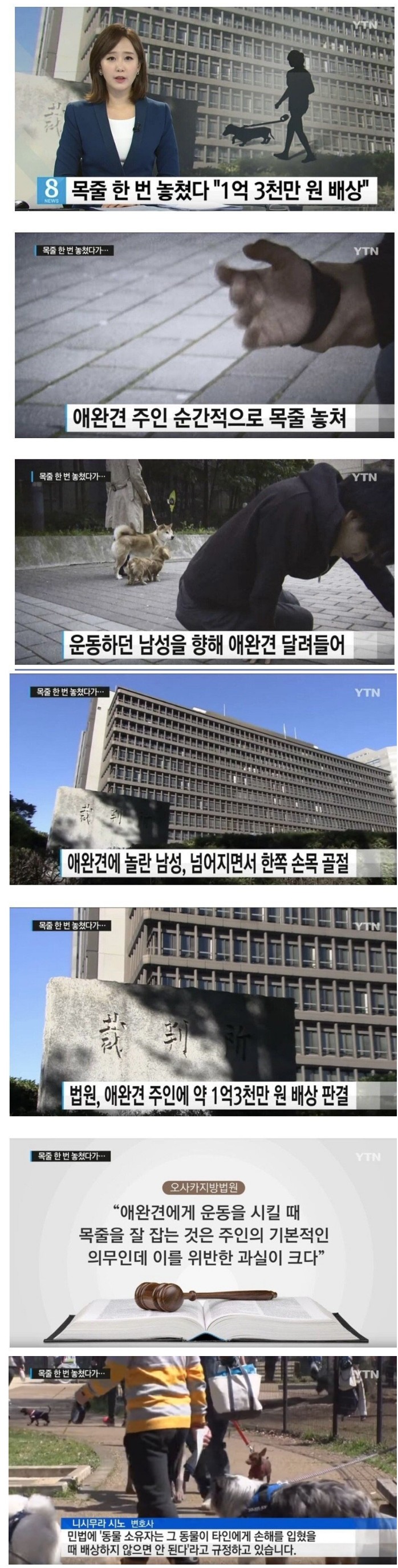  일본에서 애완견 목줄 한 번 놓치면
