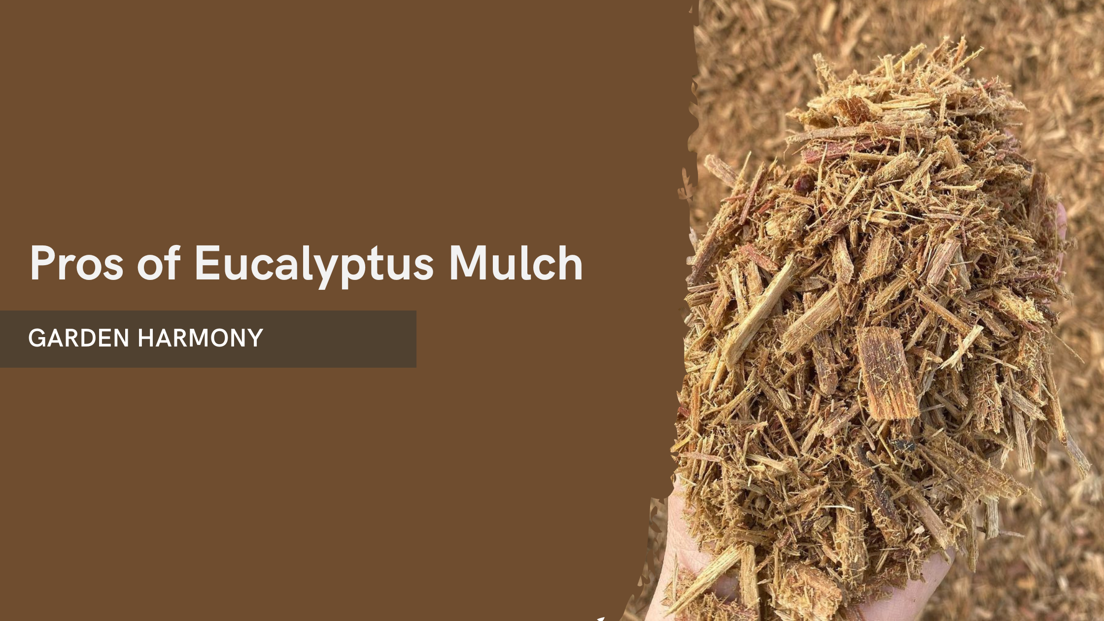 Pros of Eucalyptus Mulch