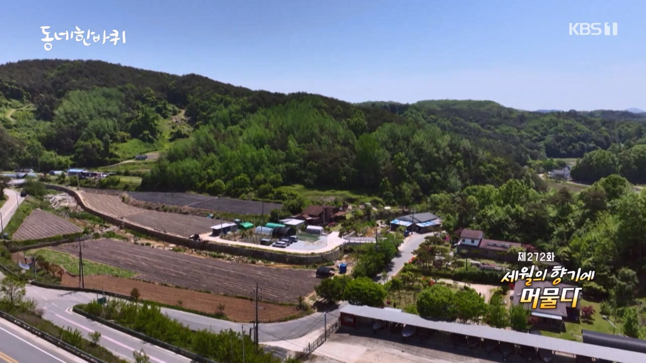 동네 한 바퀴.E275.240526p-NEXT.mp4_20240526_162430.896.jpg