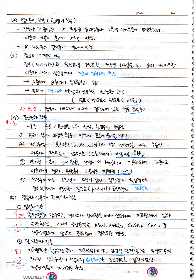  [토양학] 토양생물의 작용과 물질의 이동에 의한 생성작용 (회색화 작용, 염기용탈작용, 점토의 기계적 이동, 포드졸화 작용, 염류화작용/탈염류화작용, 알칼리화 작용, 석회화작용, 수성표백..