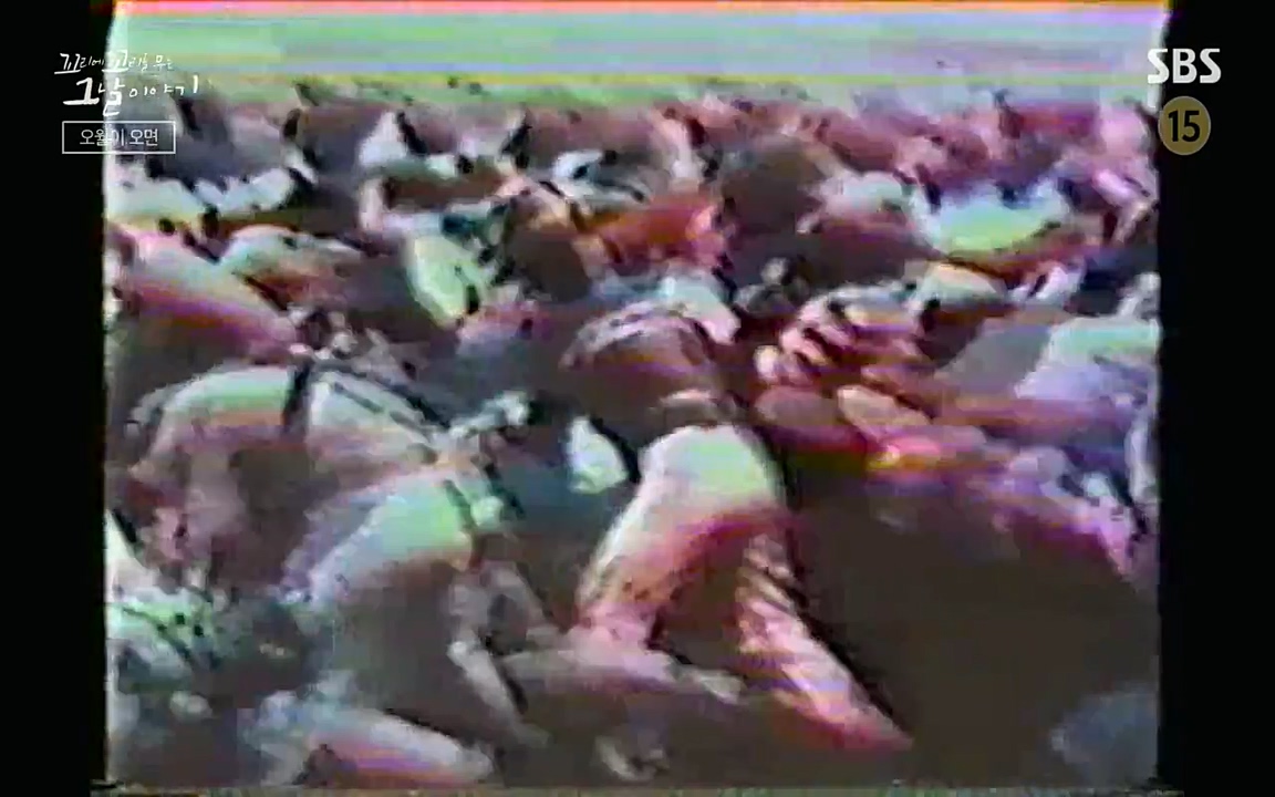 5.18 특집 꼬리에 꼬리를 무는 그날 이야기.E29.220520p-NEXT.mp4_20220520_214551.180.jpg