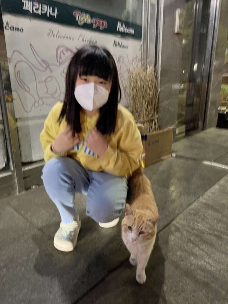 고양이 간택 고양이 1