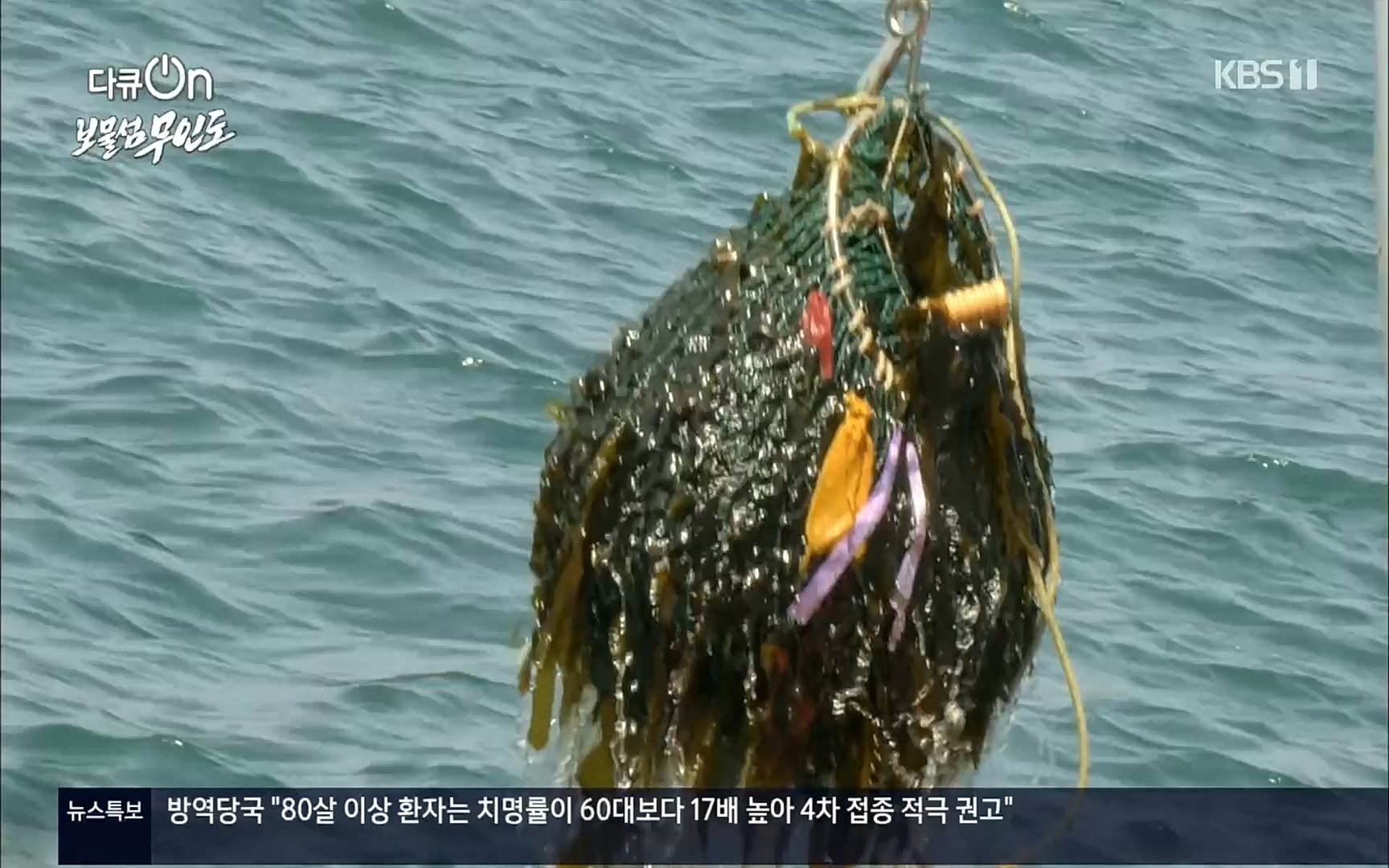 다큐 On.E141p.H264-F1RST.mp4_20220530_202702.542.jpg