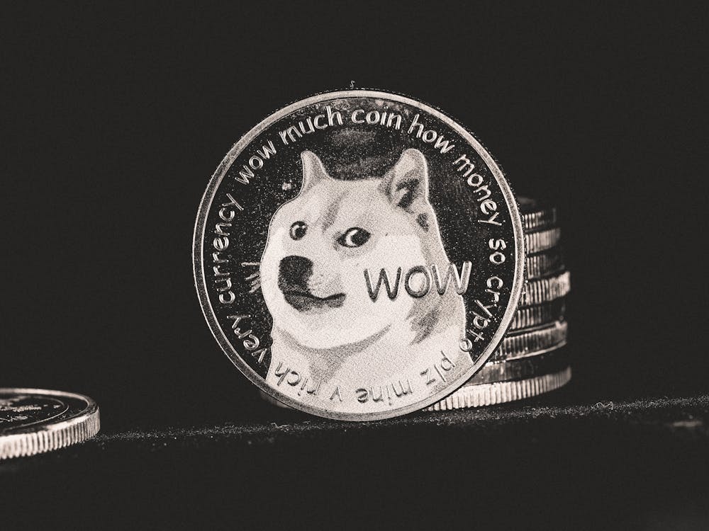도지(DOGE) 이미지