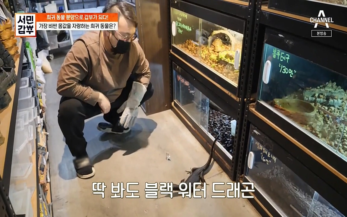 서민 갑부.E381.220431p-NEXT.mp4_20220501_174424.003.jpg