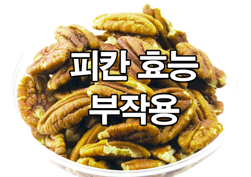  피칸 효능 및 부작용