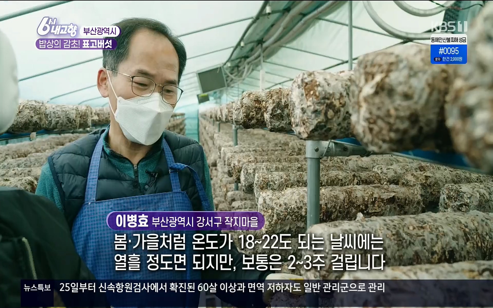 6시 내고향.E7496.220324p.H264-F1RST.mp4_20220328_181546.542.jpg