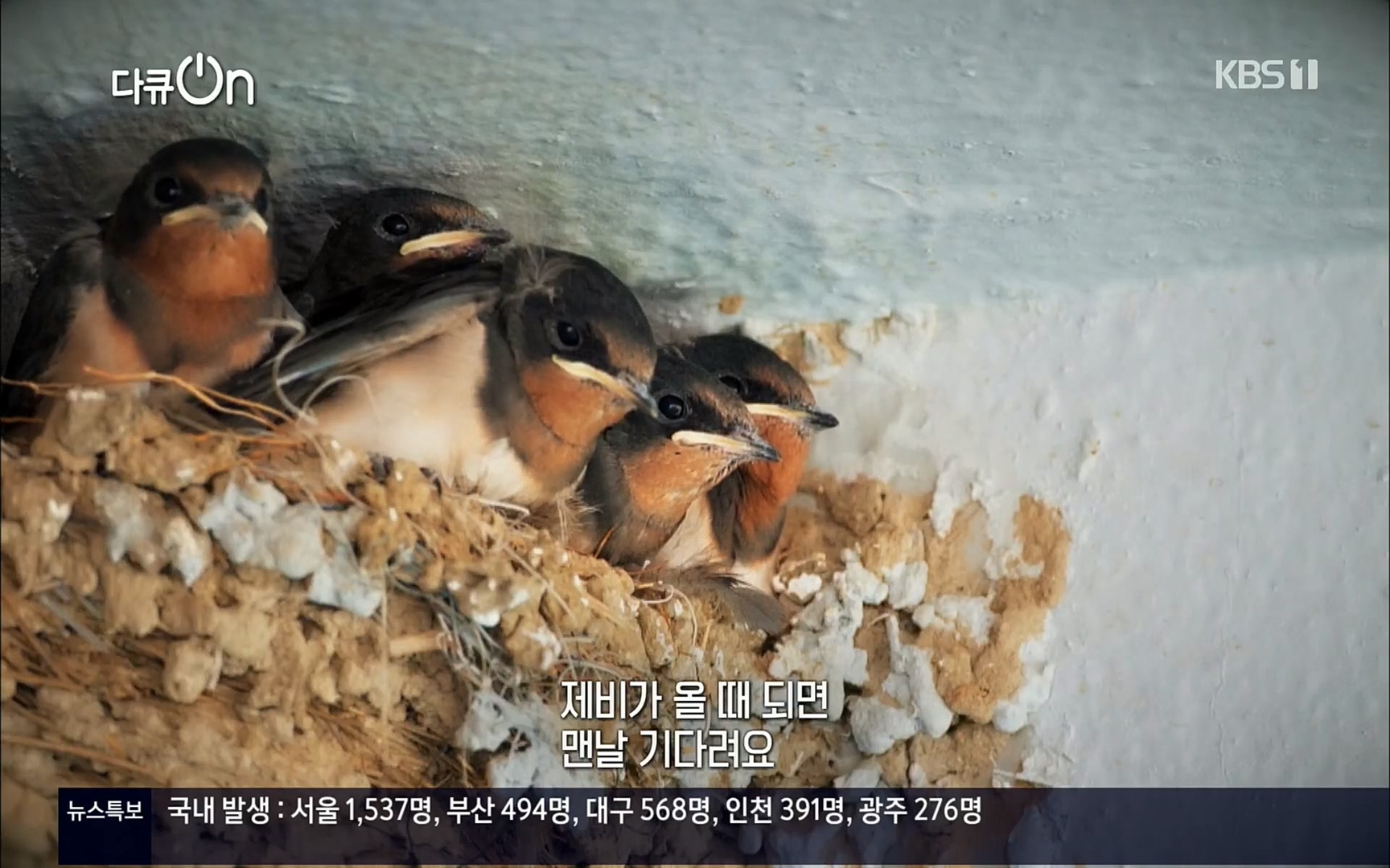 다큐 On.E143.220610p.H264-F1RST.mp4_20220613_200543.943.jpg