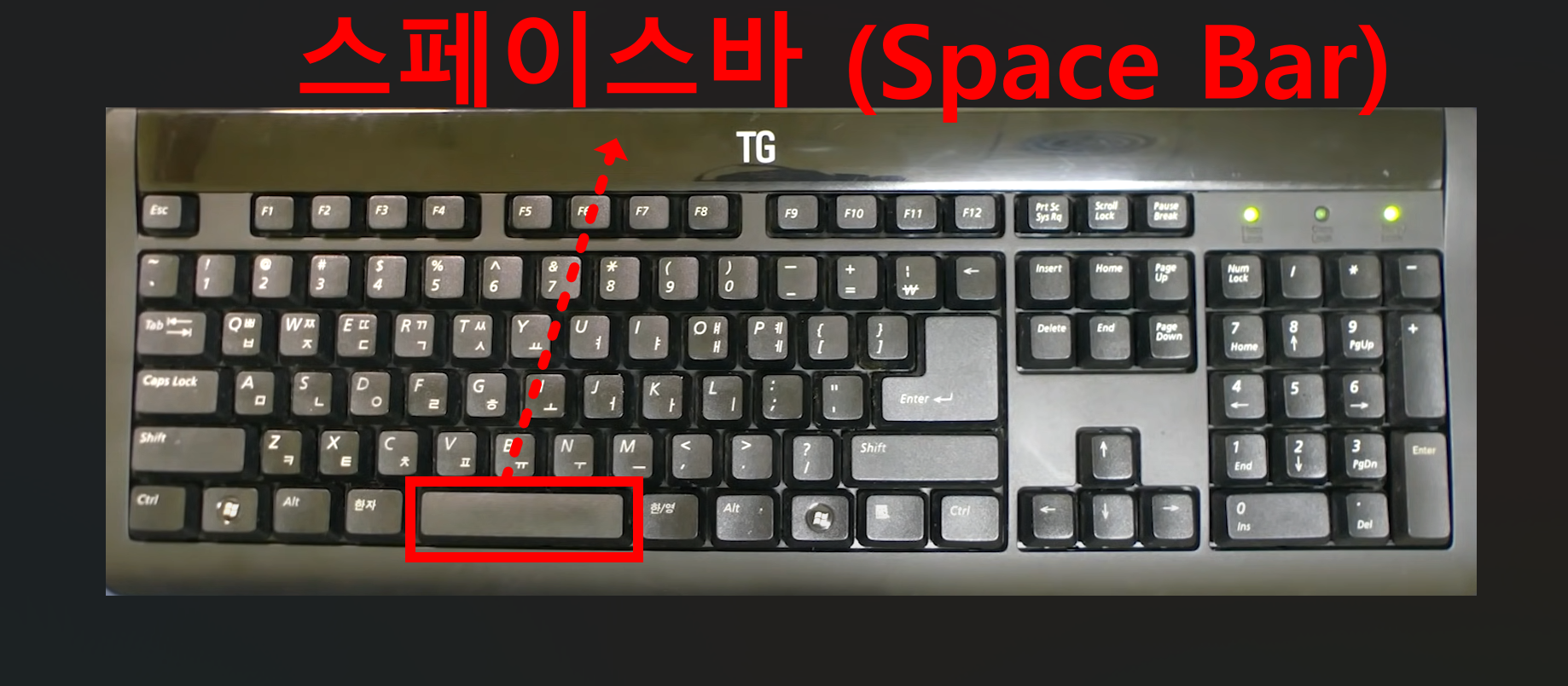 키보드 필수 용어 정리 - 초보도 알기 쉬운 키보드 기본 용어 15가지