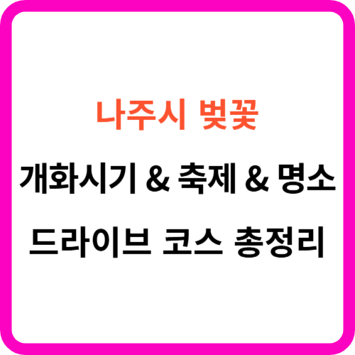 나주시 벚꽃 개화시기 축제 명소 드라이브 코스