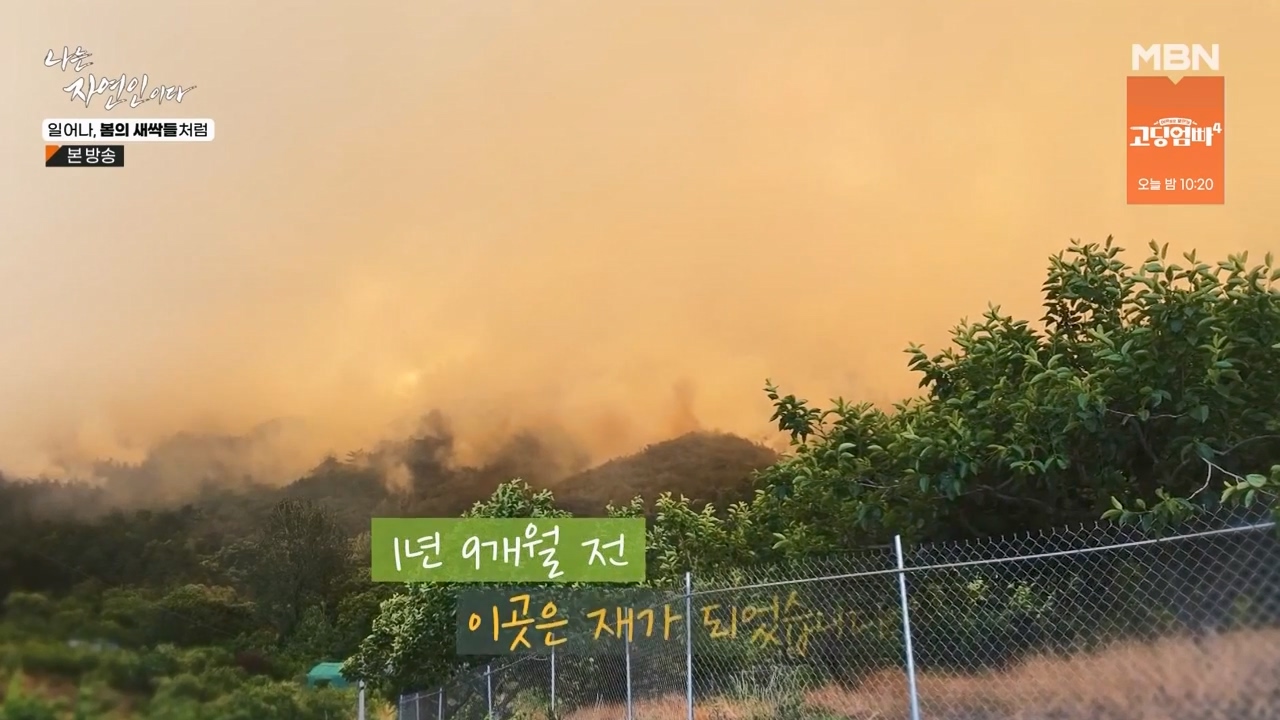 나는 자연인이다.E593.240215p-NEXT.mp4_20240215_200725.709.jpg