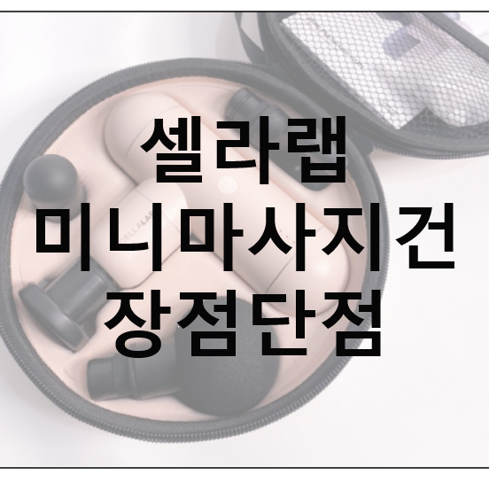  셀라랩 미니마사지건 장점단점 가격정보