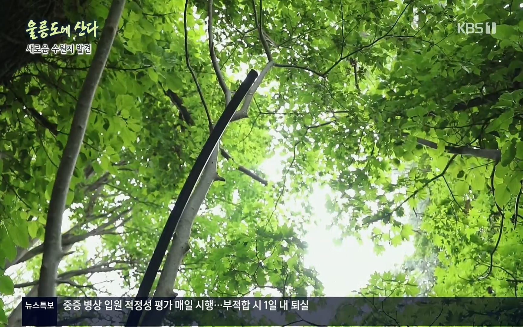 다큐울릉도에산다.E01.220909p.H264-F1RST.mp4_20220912_180551.605.jpg