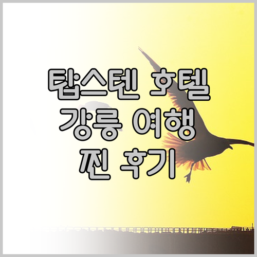 탑스텐 호텔, 강릉 여행의 숨은 보석