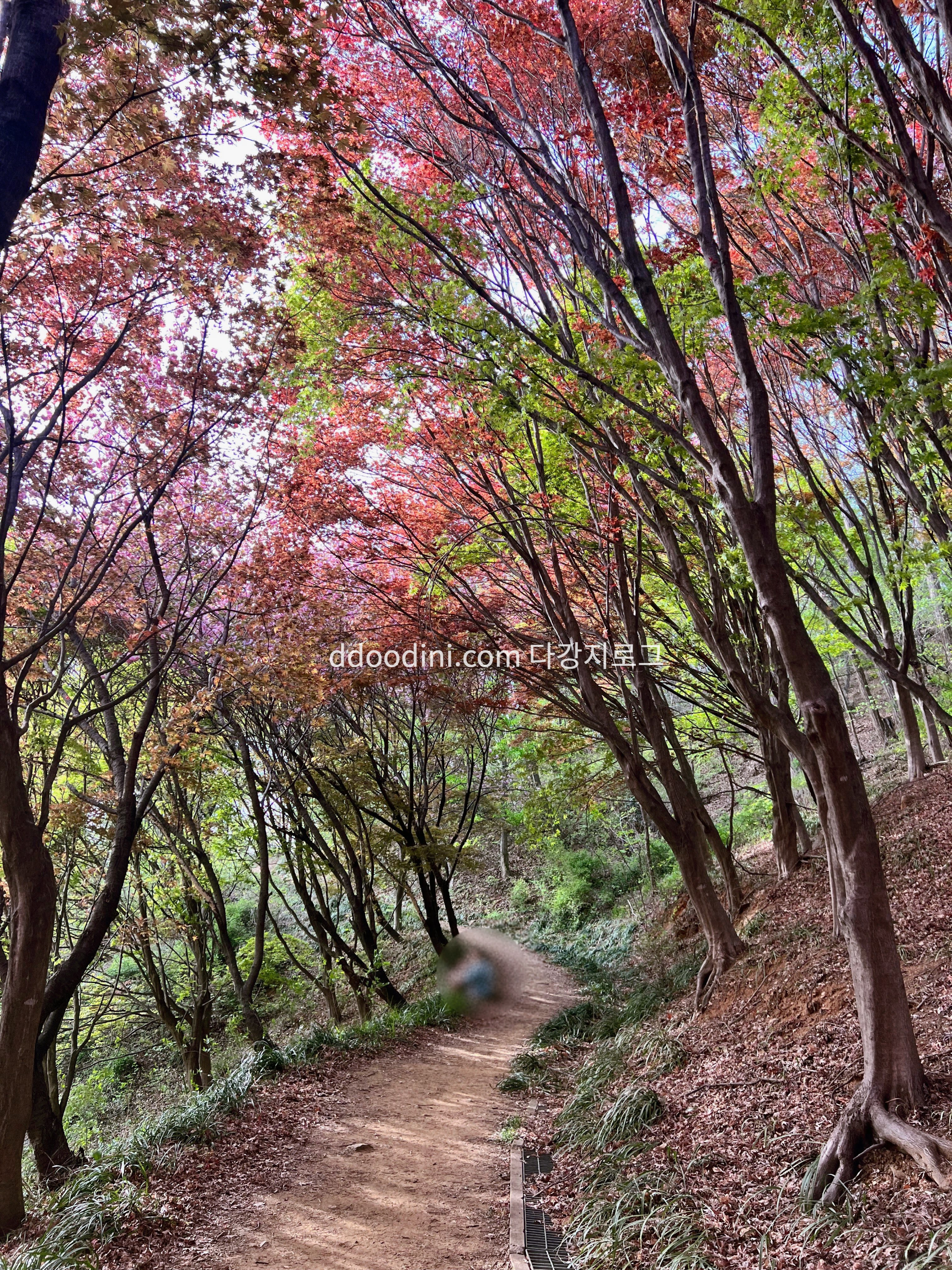 전주 완산꽃동산