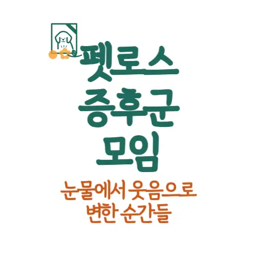 펫로스 증후군 모임 썸네일