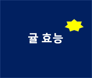  귤 효능을 알아보자!
