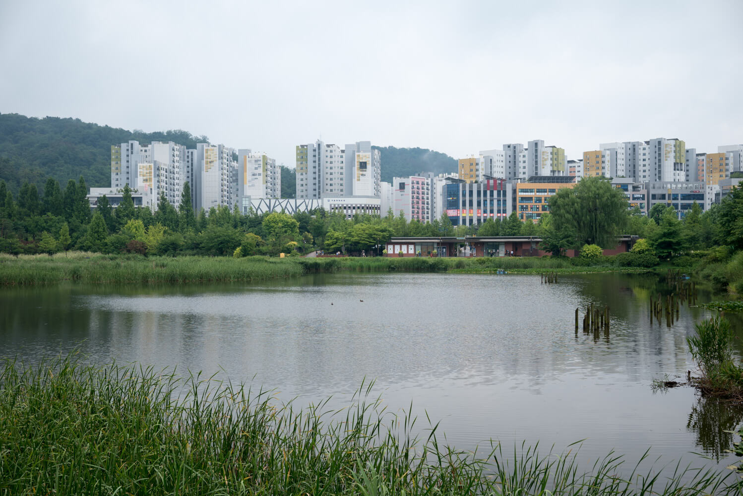 구로 항동 푸른수목원