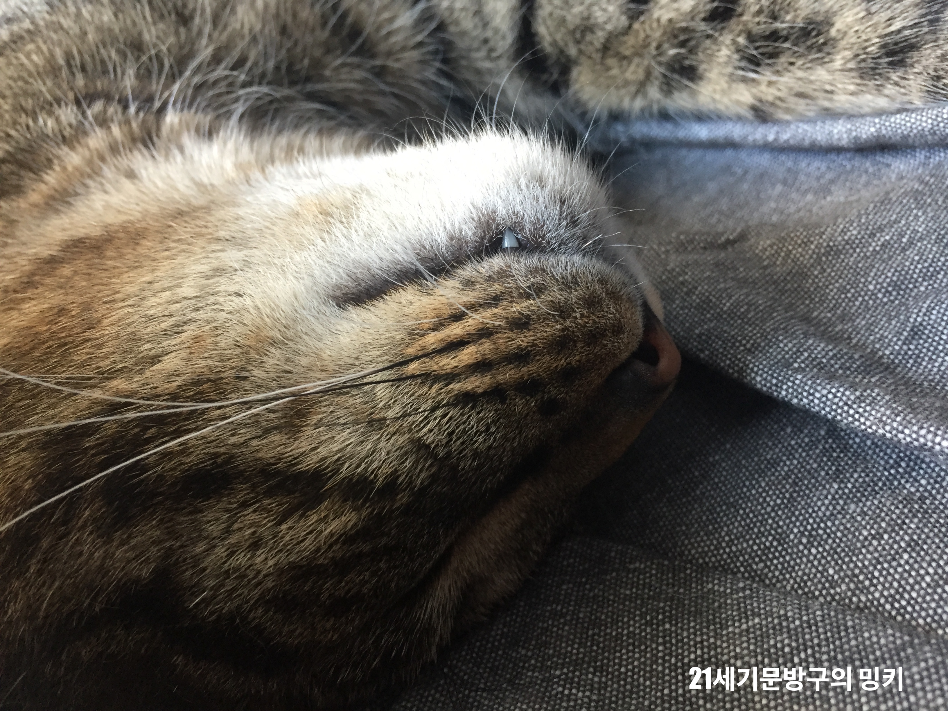  <별밤 문방구 라디오>"오늘밤 잘자요..."