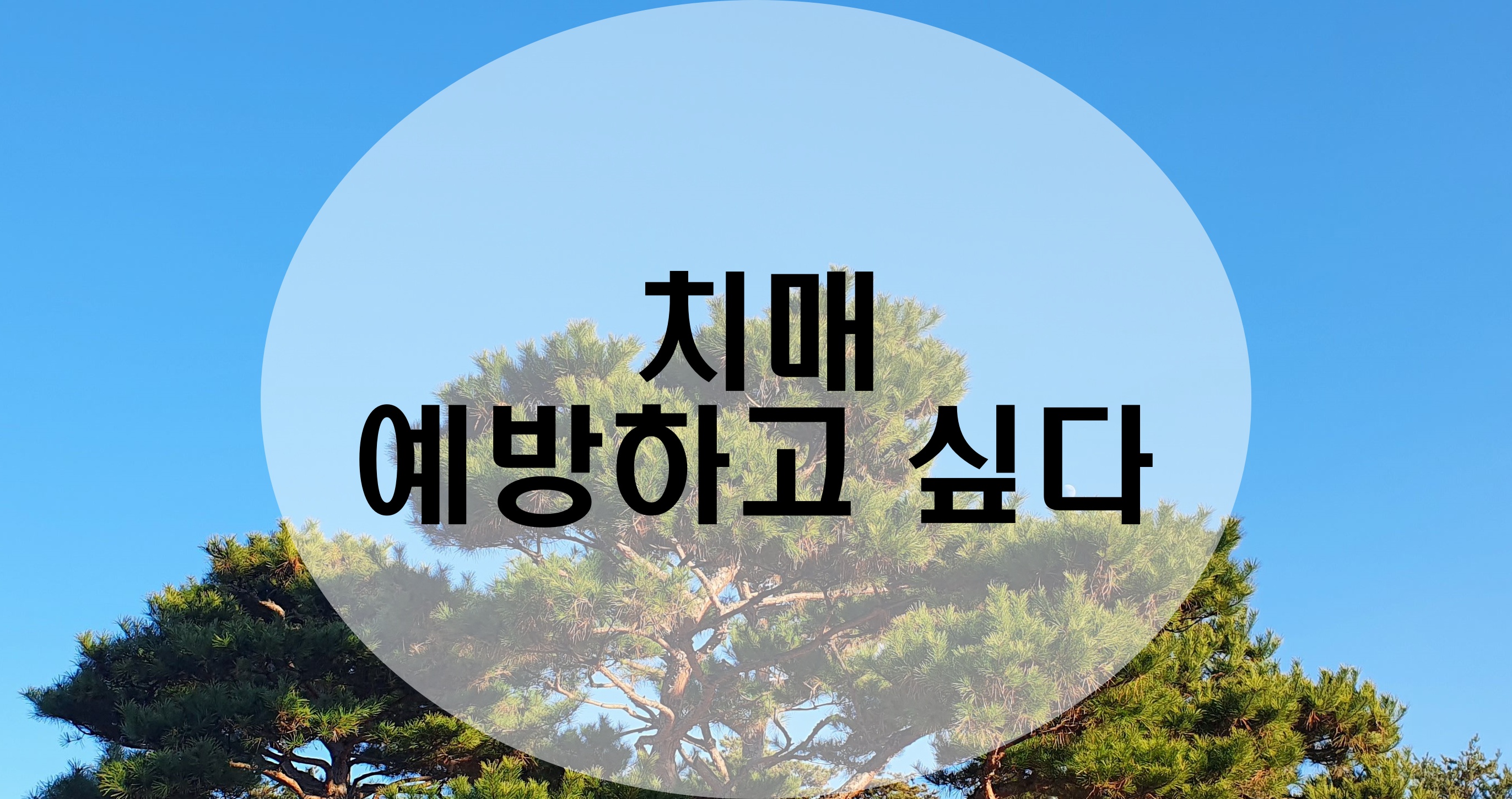  치매 예방하고 싶다