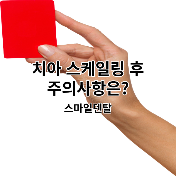 치아-스케일링-주의사항-썸네일