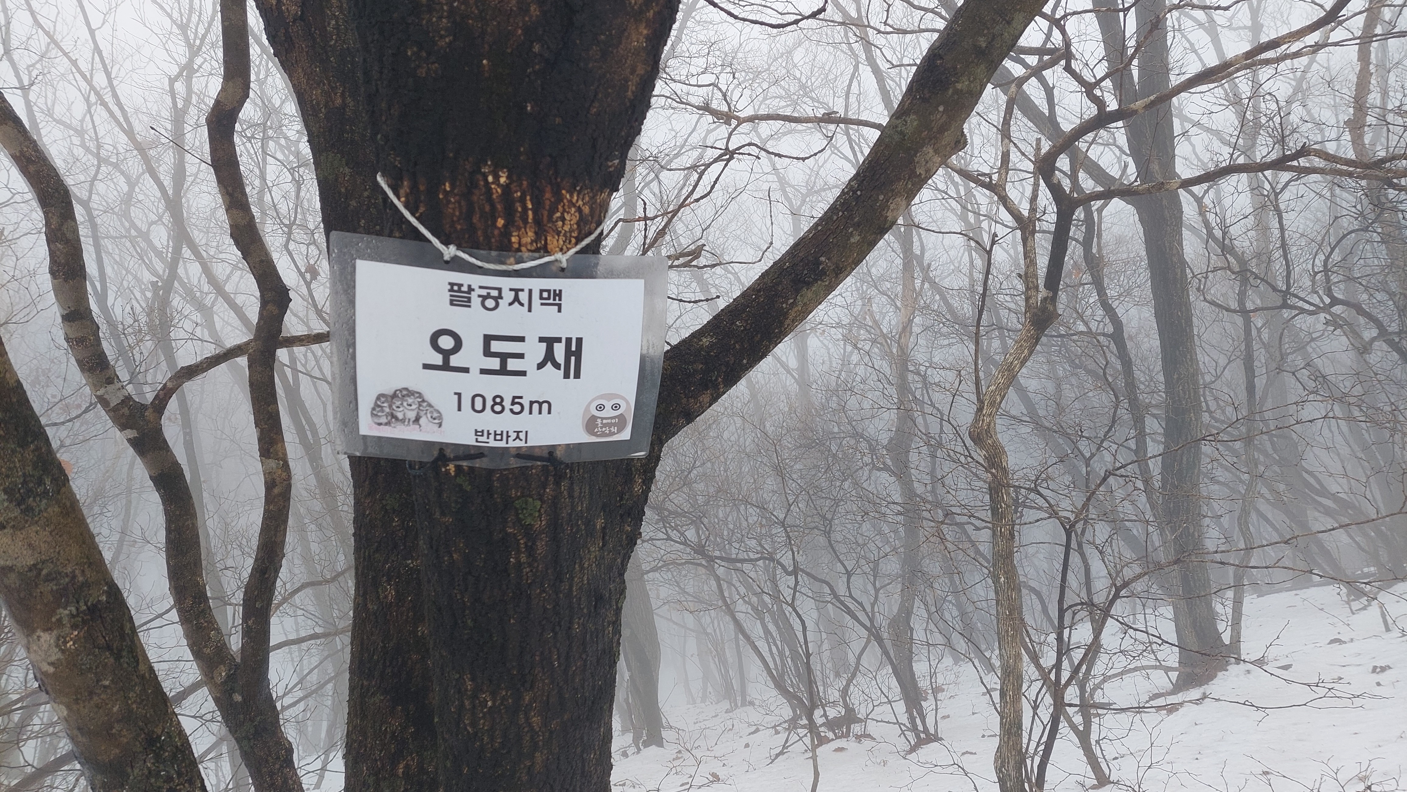 팔공산 동화사 17