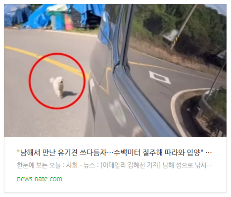  [뉴스] "남해서 만난 유기견 쓰다듬자…수백미터 질주해 따라와 입양"