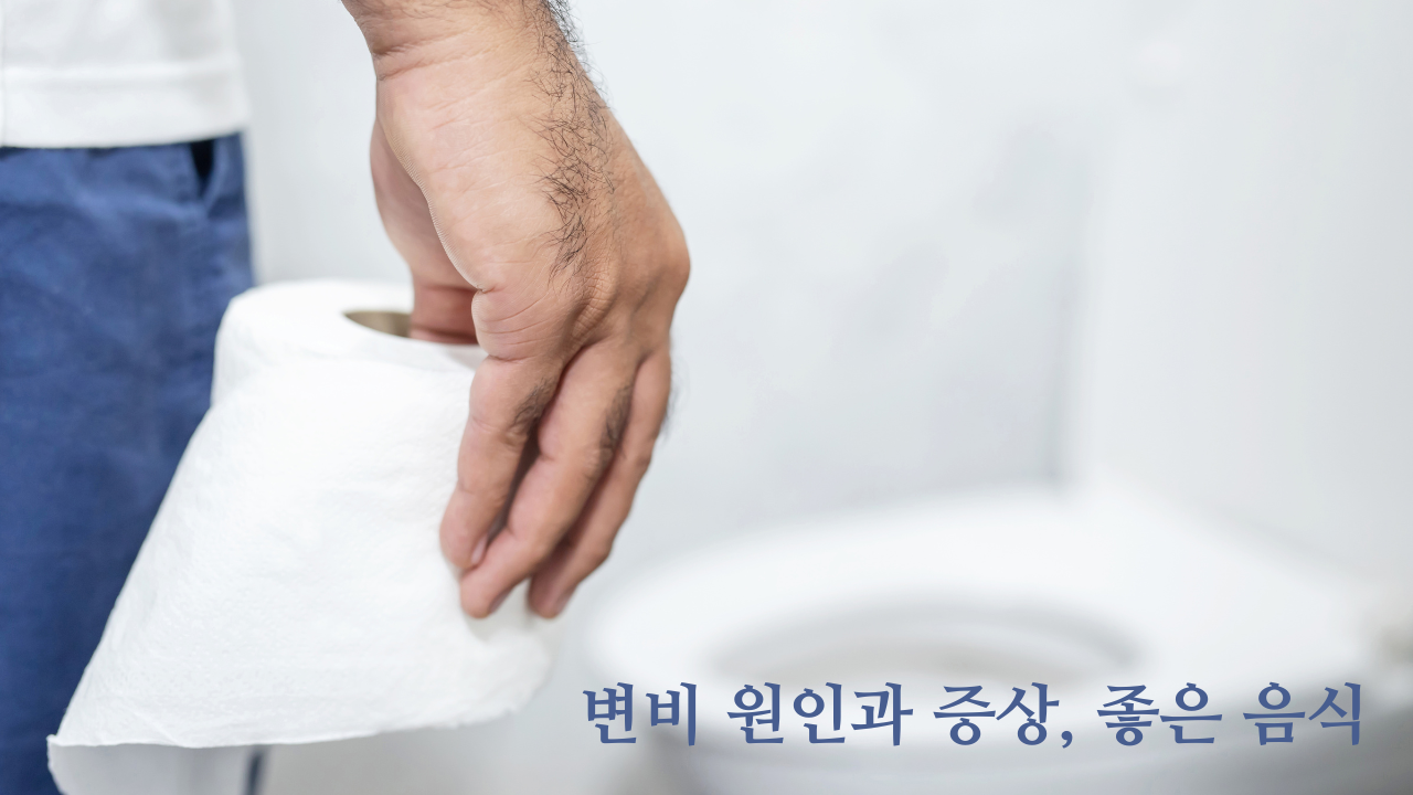 변비 변비원인 변비증상
변비좋은음식
장트러블 장에좋은음식