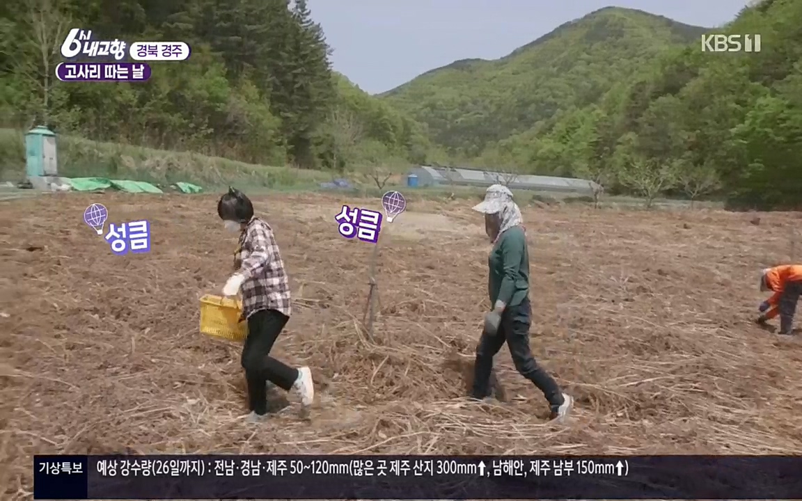 6시 내고향.E7518.220426p.H264-F1RST.mp4_20220504_185148.108.jpg