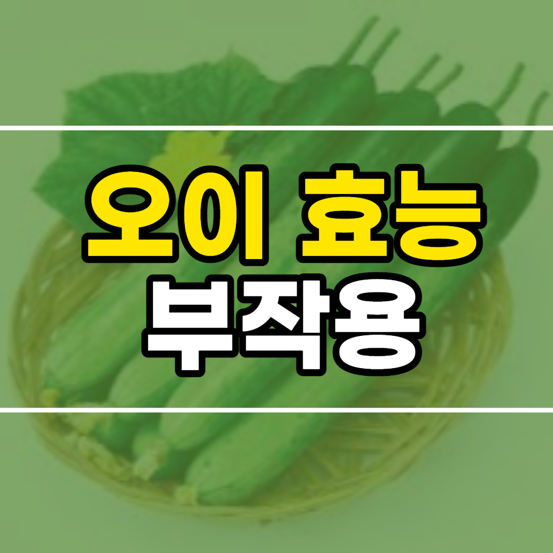  오이 효능 10가지 및 부작용, 오이 보관법